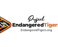 Save Tigers Wallpaper App & Screensaver  media 3
