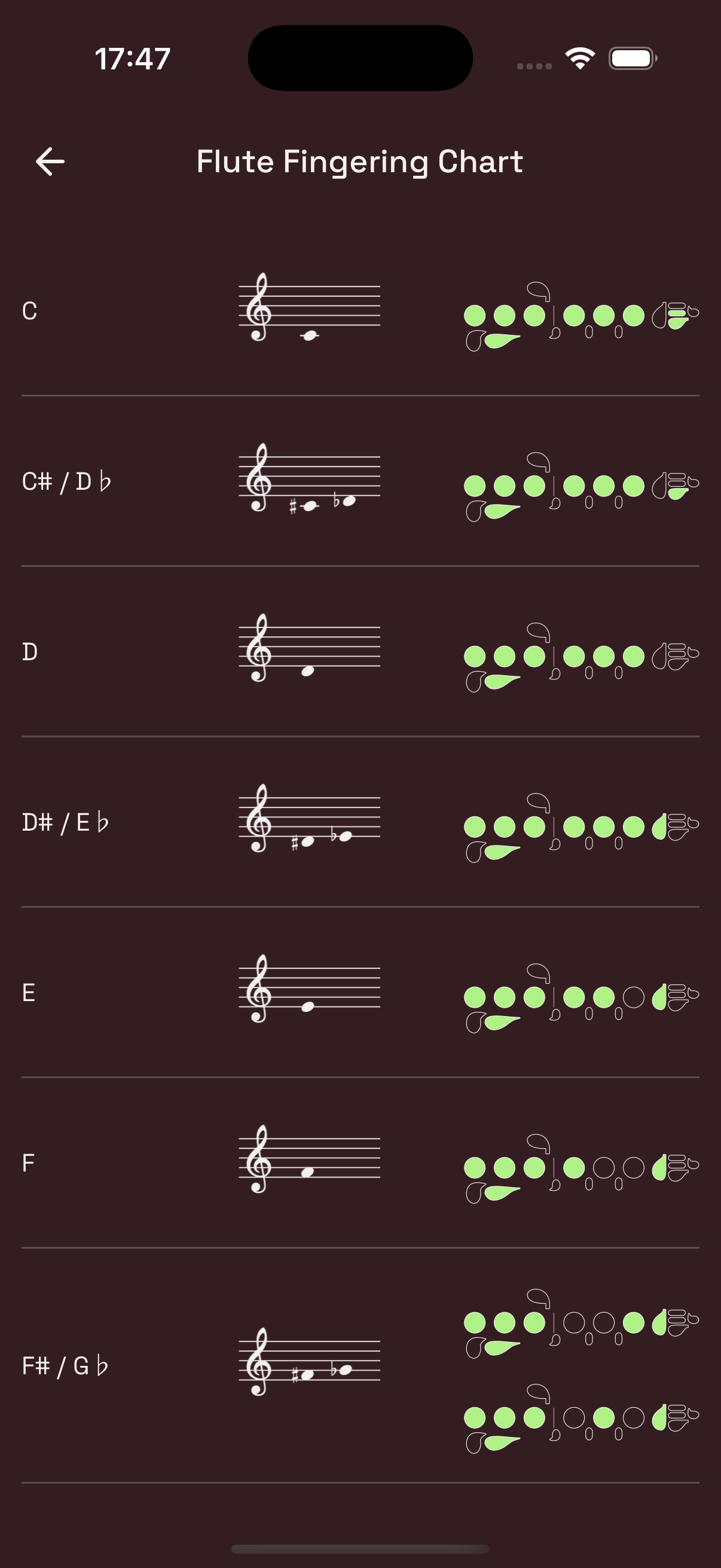 Média Flute Dignering - Tableau de doigté, flûte virtuelle, échelles, tuner et métronome 7