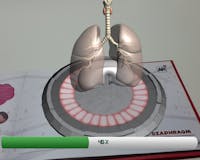 Imagina Books: The Human Body media 1