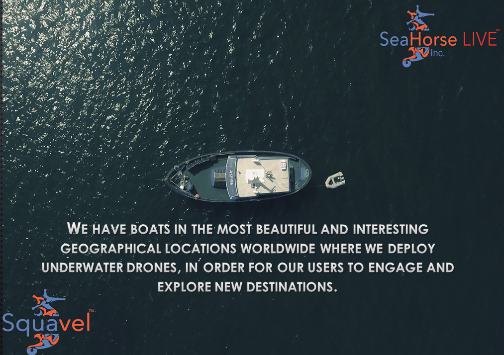 Squavel gallery image