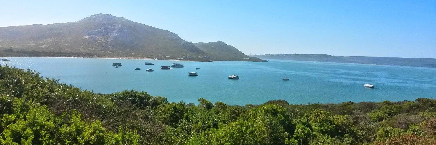 Daniel van der Merwe cover