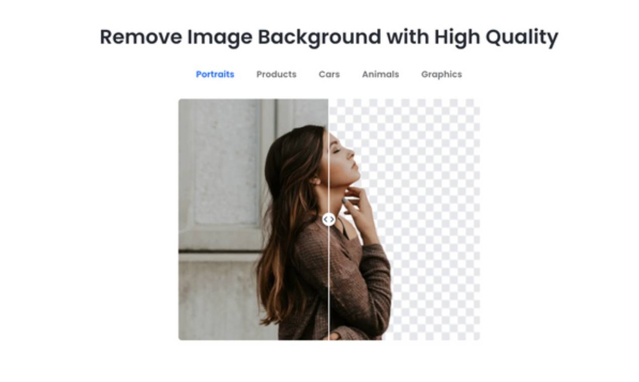 Fotor Background Remover media 2