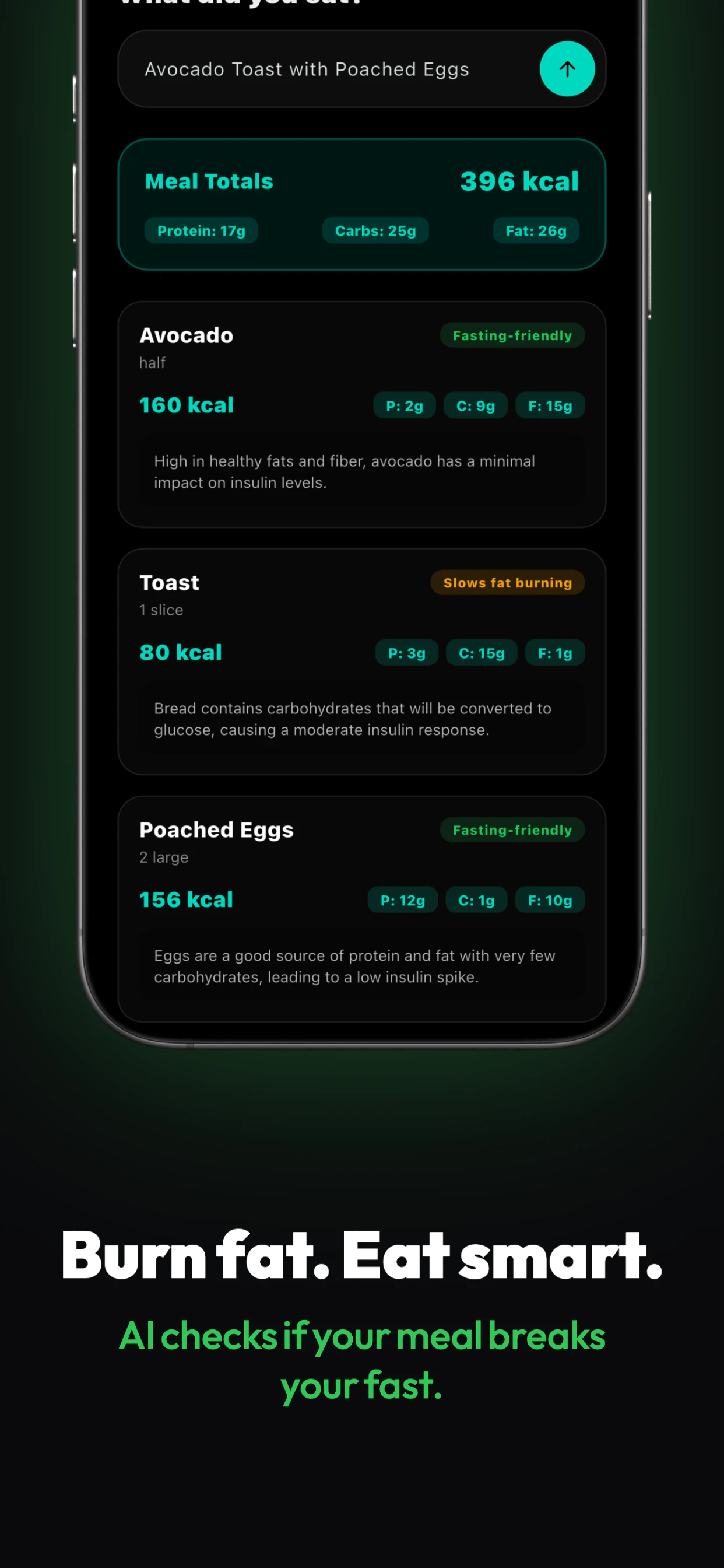 FastFlow screenshot 2
