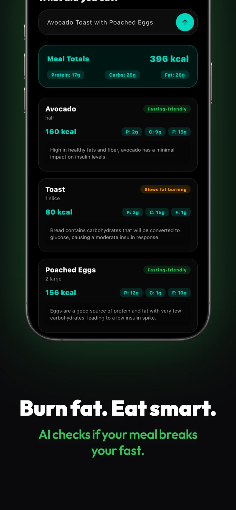 FastFlow screenshot 2