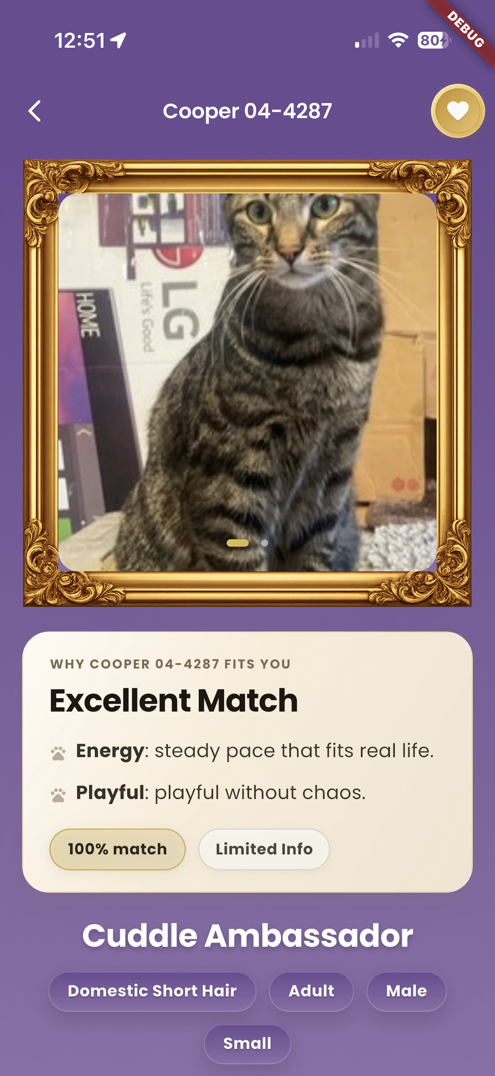 Feline Finder - When Adopting screenshot 4