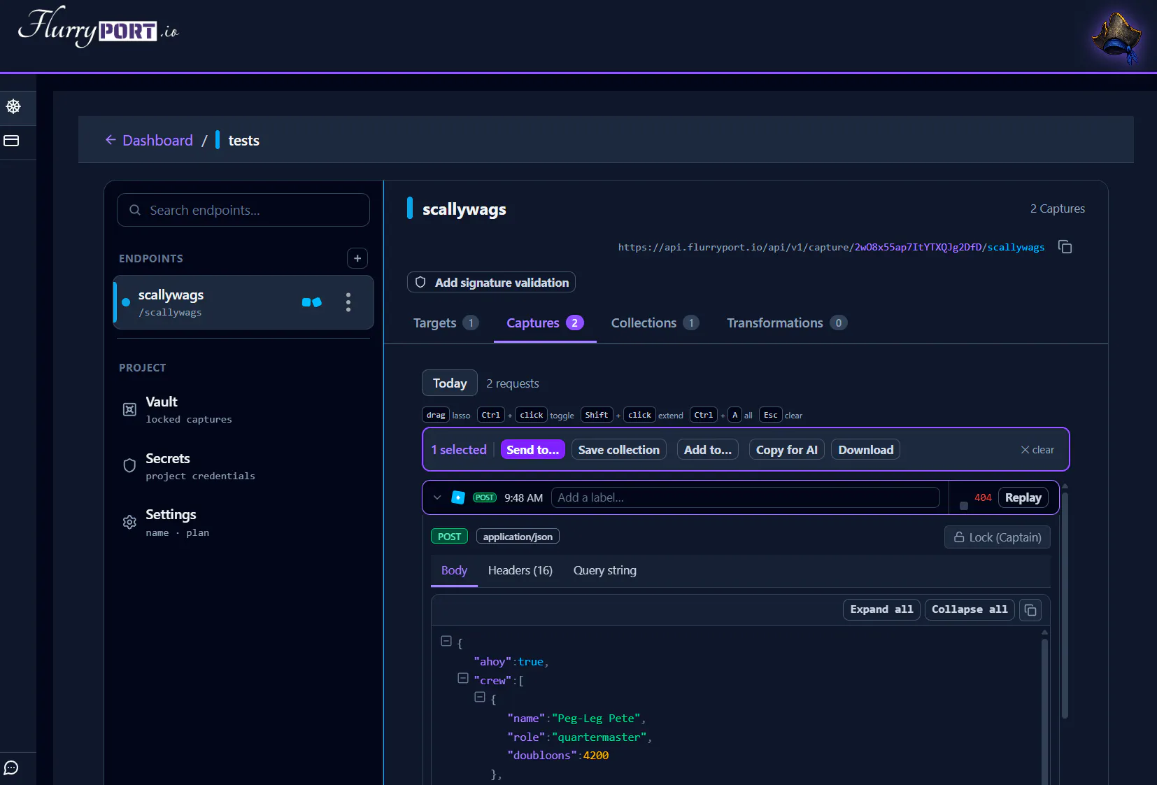 FlurryPORT — Capture. Replay. Debug. gallery image