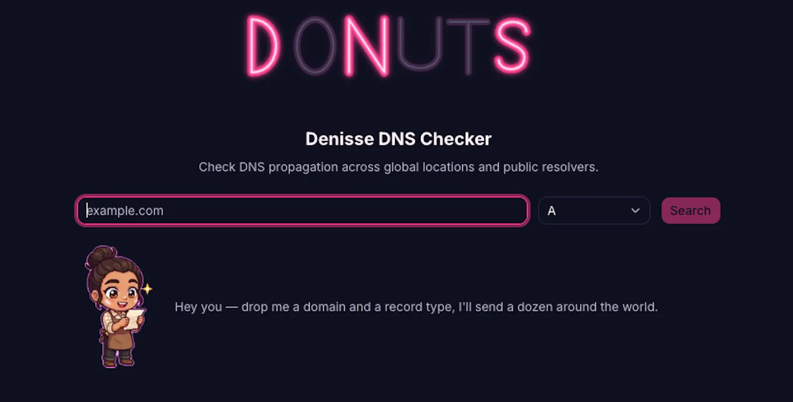 Denisse DNS Checker screenshot 1