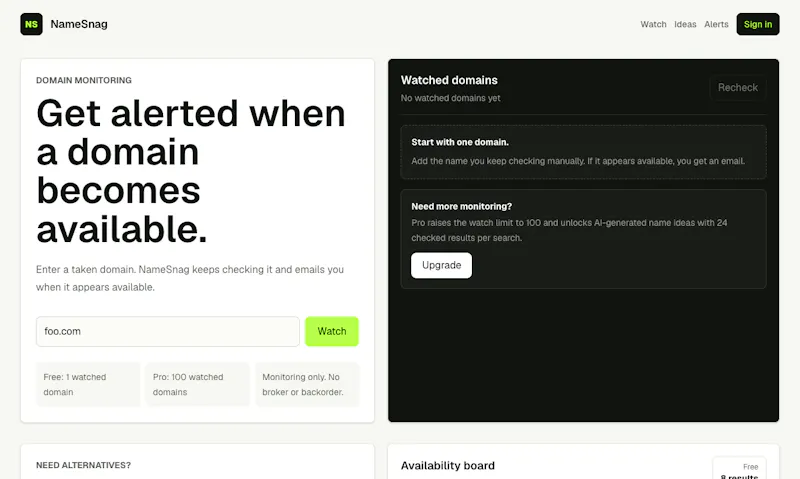 NameSnag screenshot 4