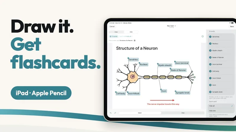 Memor More: Enhanced flashcards screenshot 1 (video preview)
