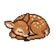 Koji-ka