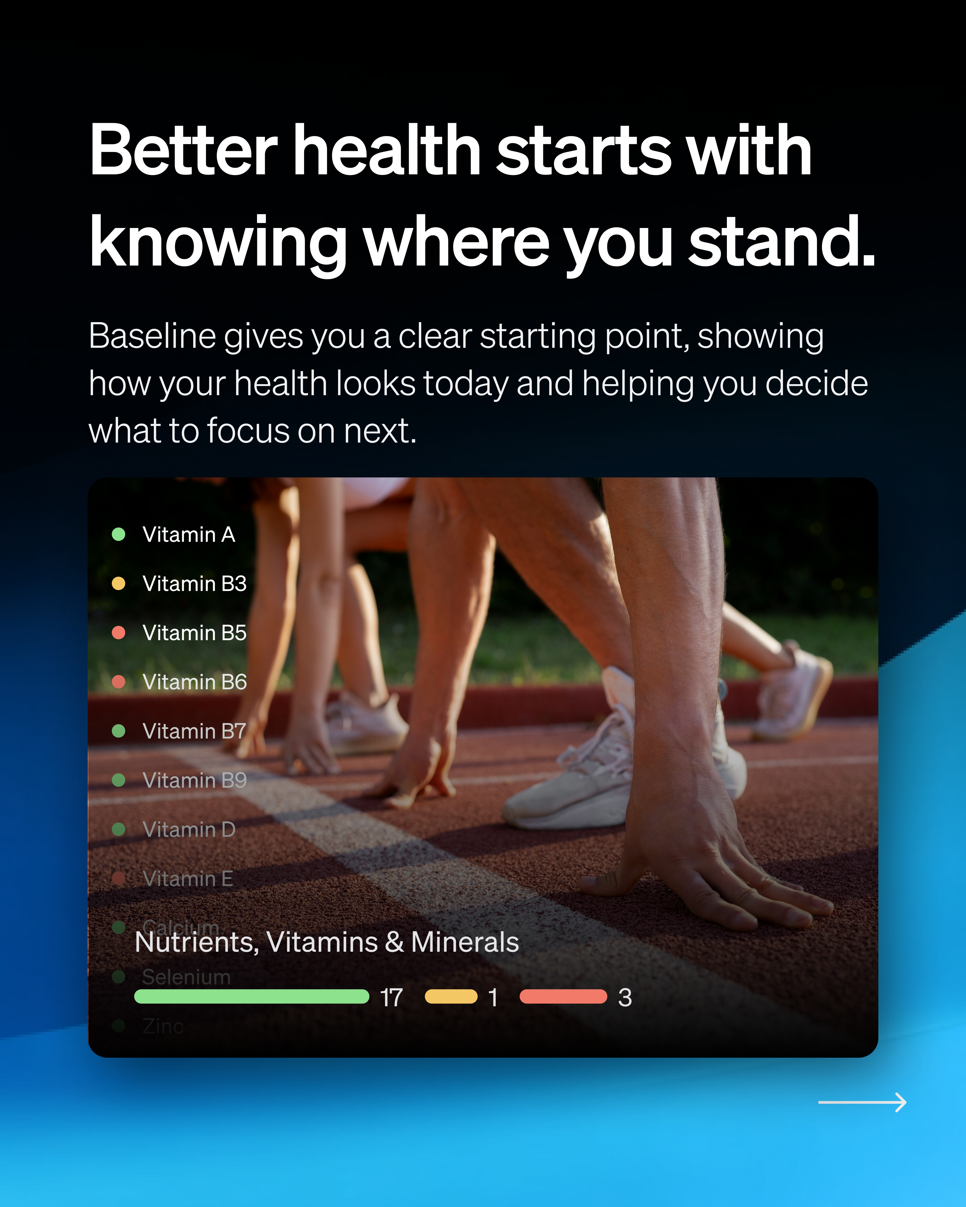 Deep Holistics - Screenshot 2 showing product features and functionality