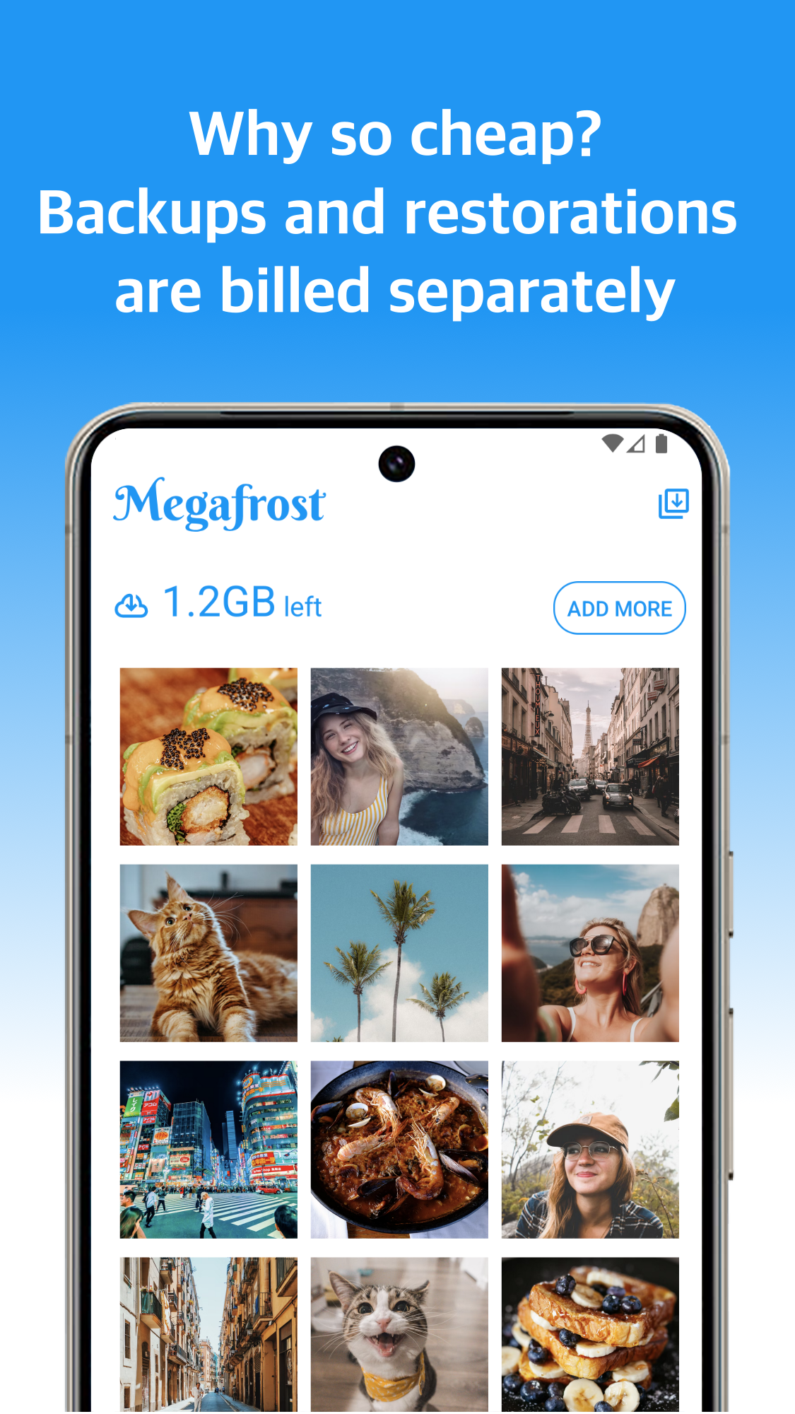 Megafrost - Backup your Media gallery image