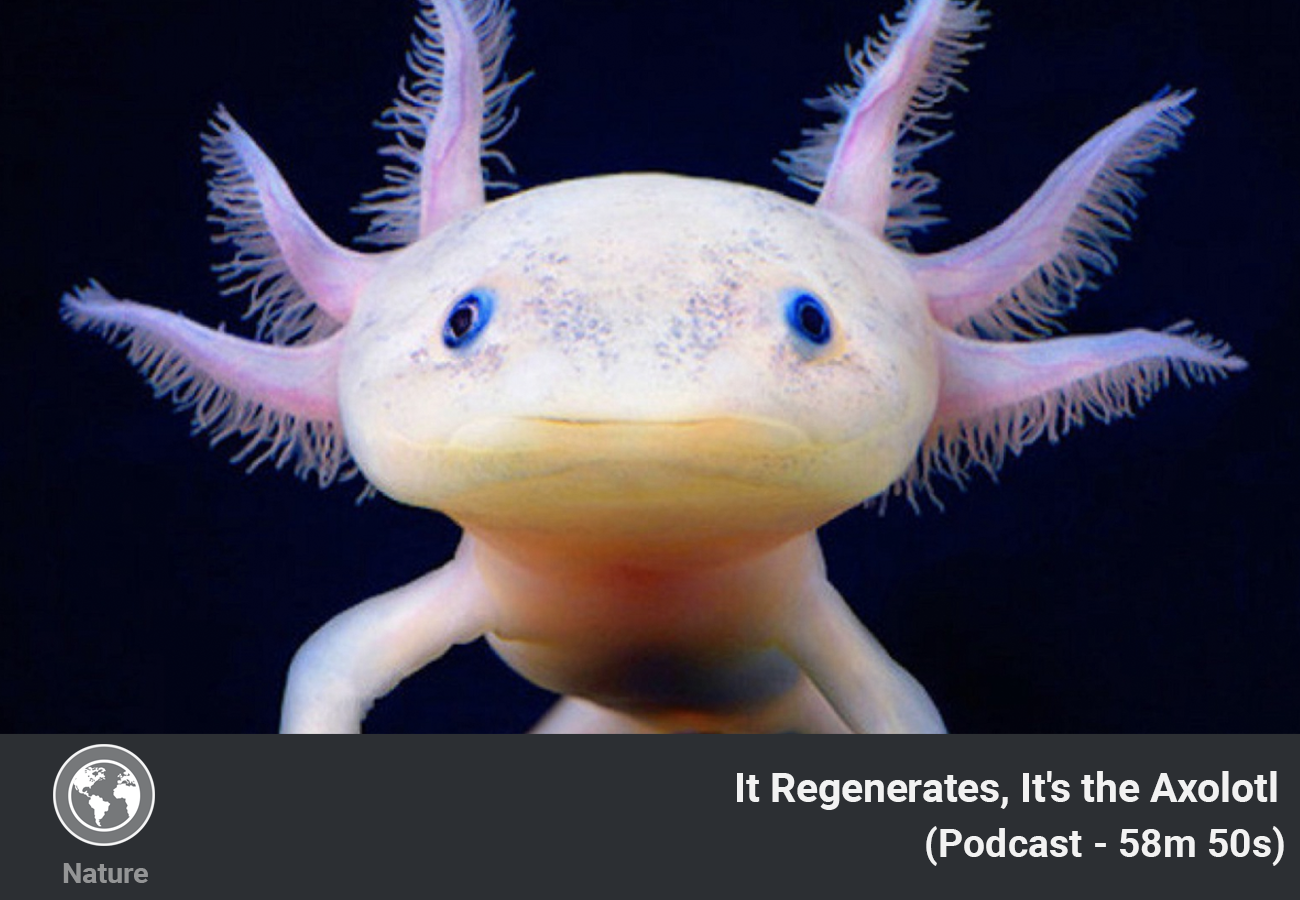 PinchOfWisdom gallery image