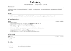 DevSume gallery image