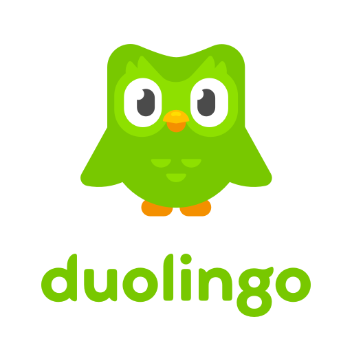 Duolingo Pillow logo