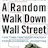 A Random Walk Down Wall Street: The Time-Tested Strategy for Successful Investing