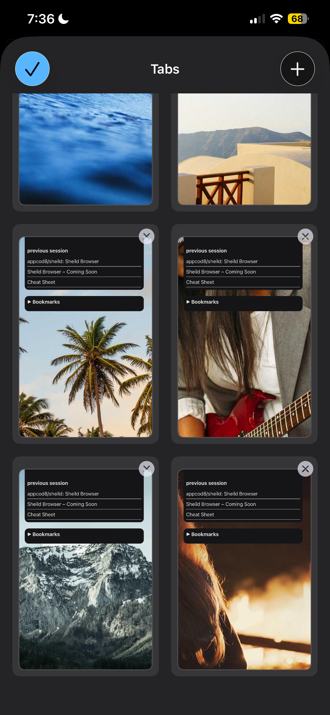 Sheild Browser gallery image