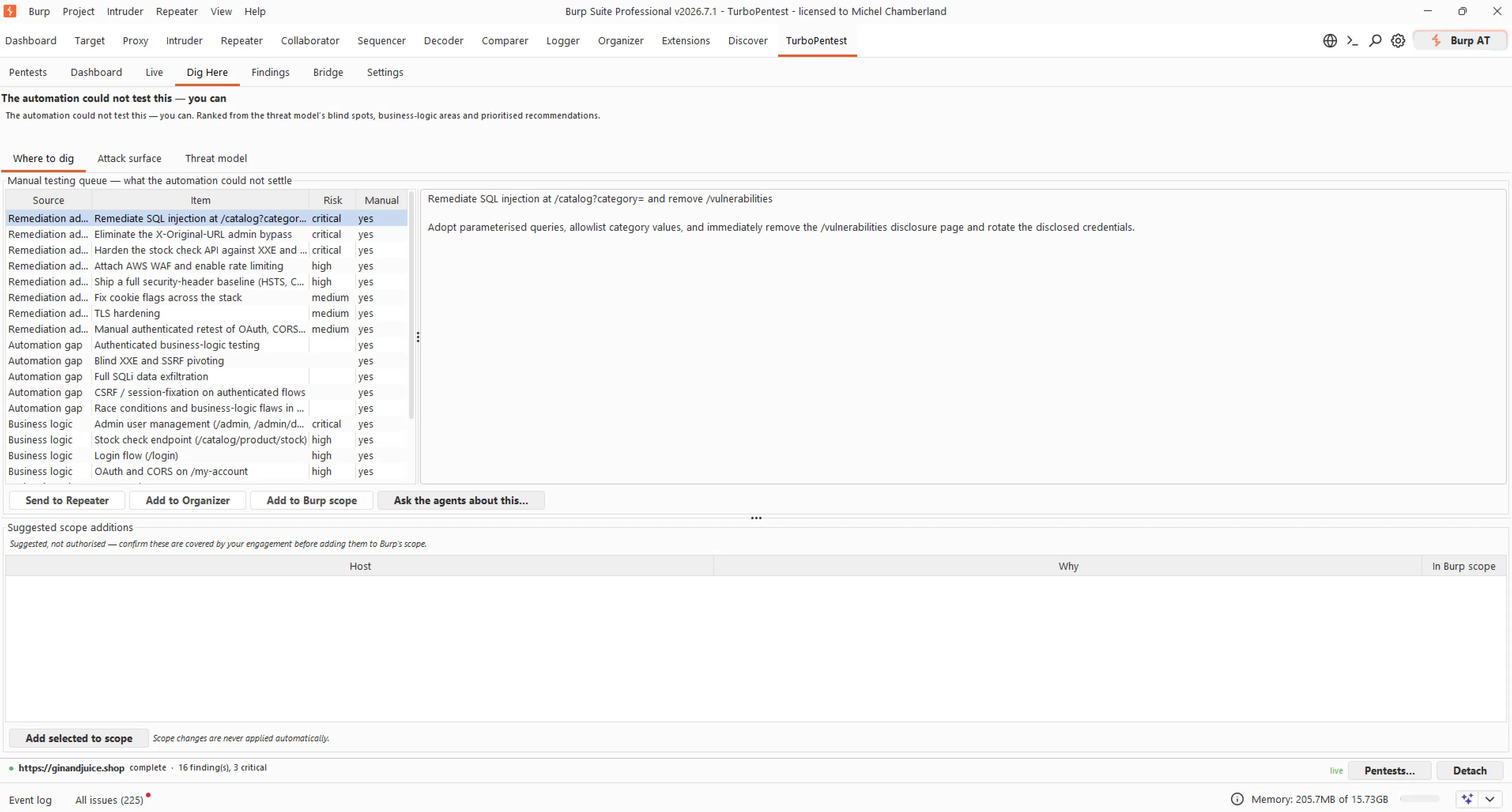 TurboPentest gallery image