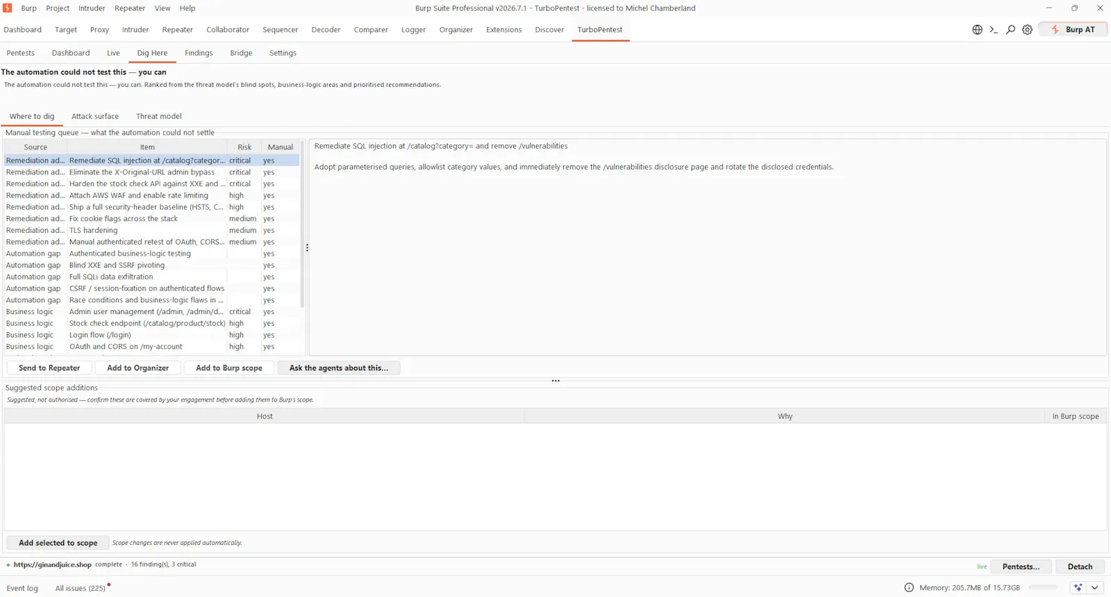 TurboPentest screenshot 16