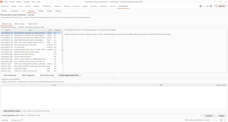 TurboPentest screenshot 16