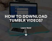 How to Download Tumblr Videos? media 2