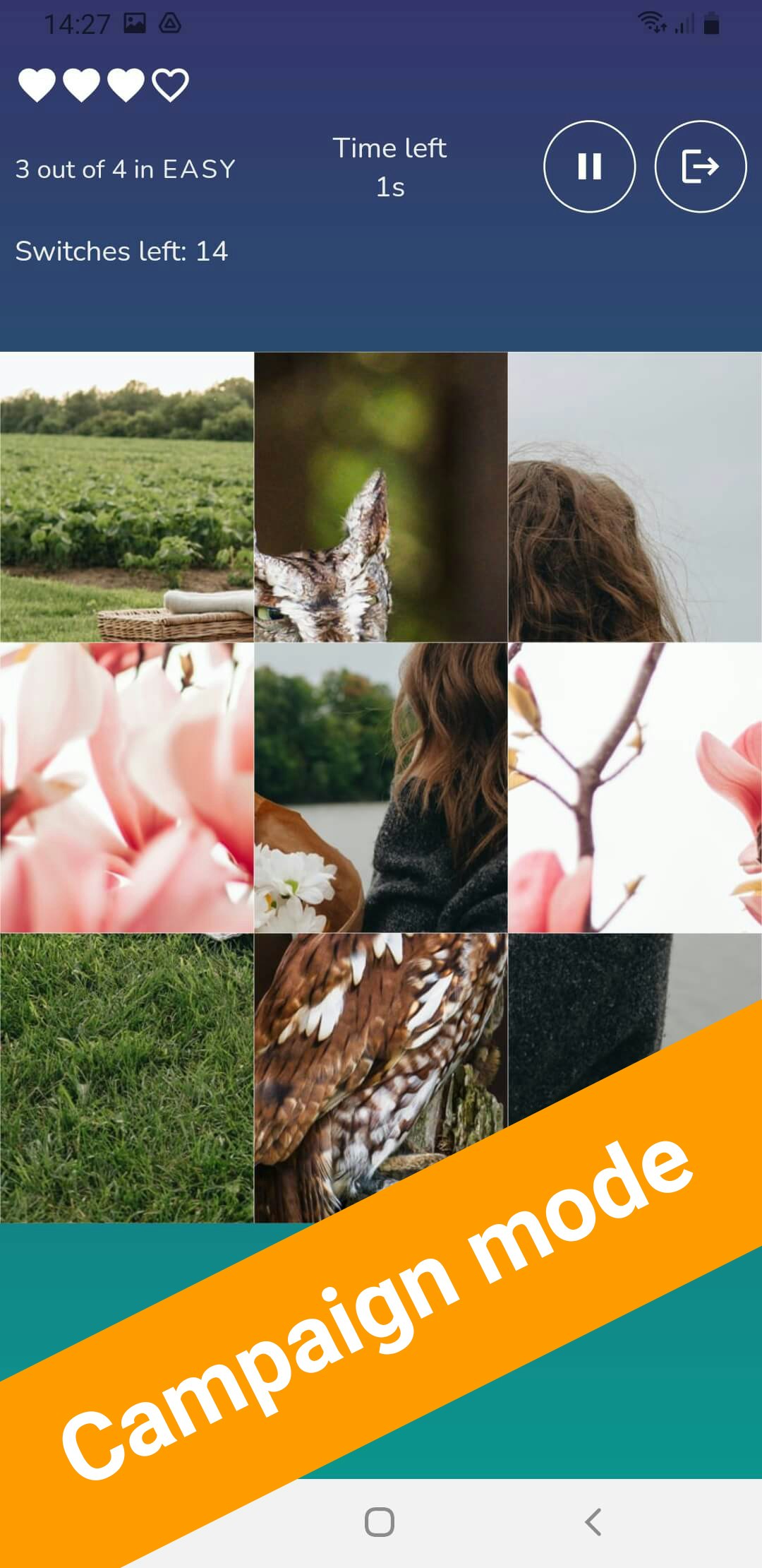 ImageShaker gallery image