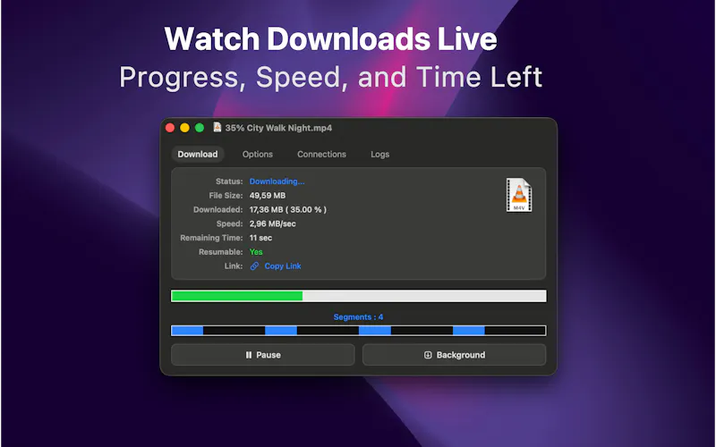 AVS Download Manager screenshot 2