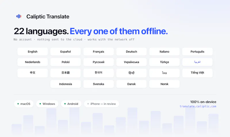 Caliptic Translate — Real screenshot 3