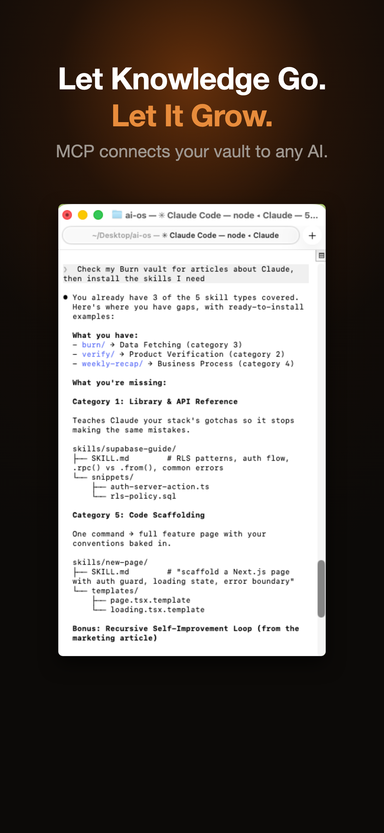 Burn451 gallery image