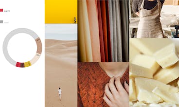 Everypixel gallery image