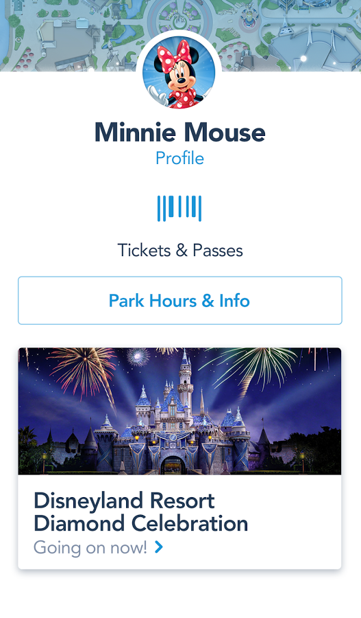 Disneyland gallery image