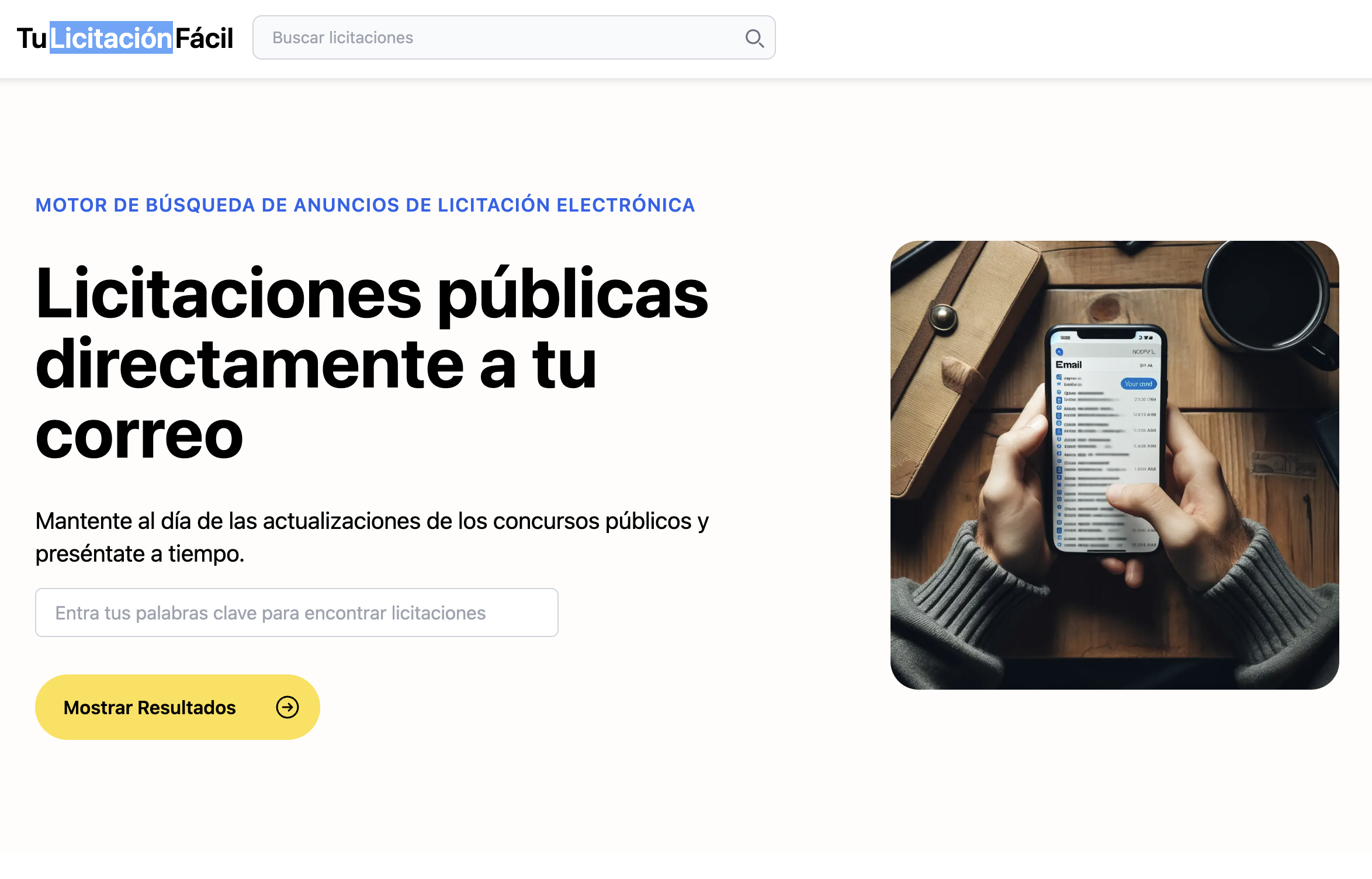TuLicitaciónFácil - Main product screenshot demonstrating key features and user interface