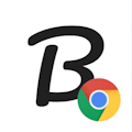 Brandfetch
