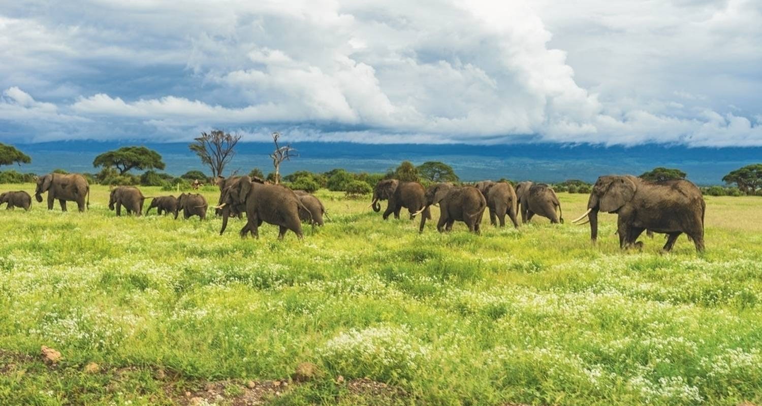 Africantrust Safari gallery image