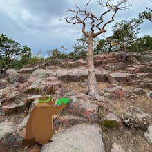 Fitty Murmel gallery image