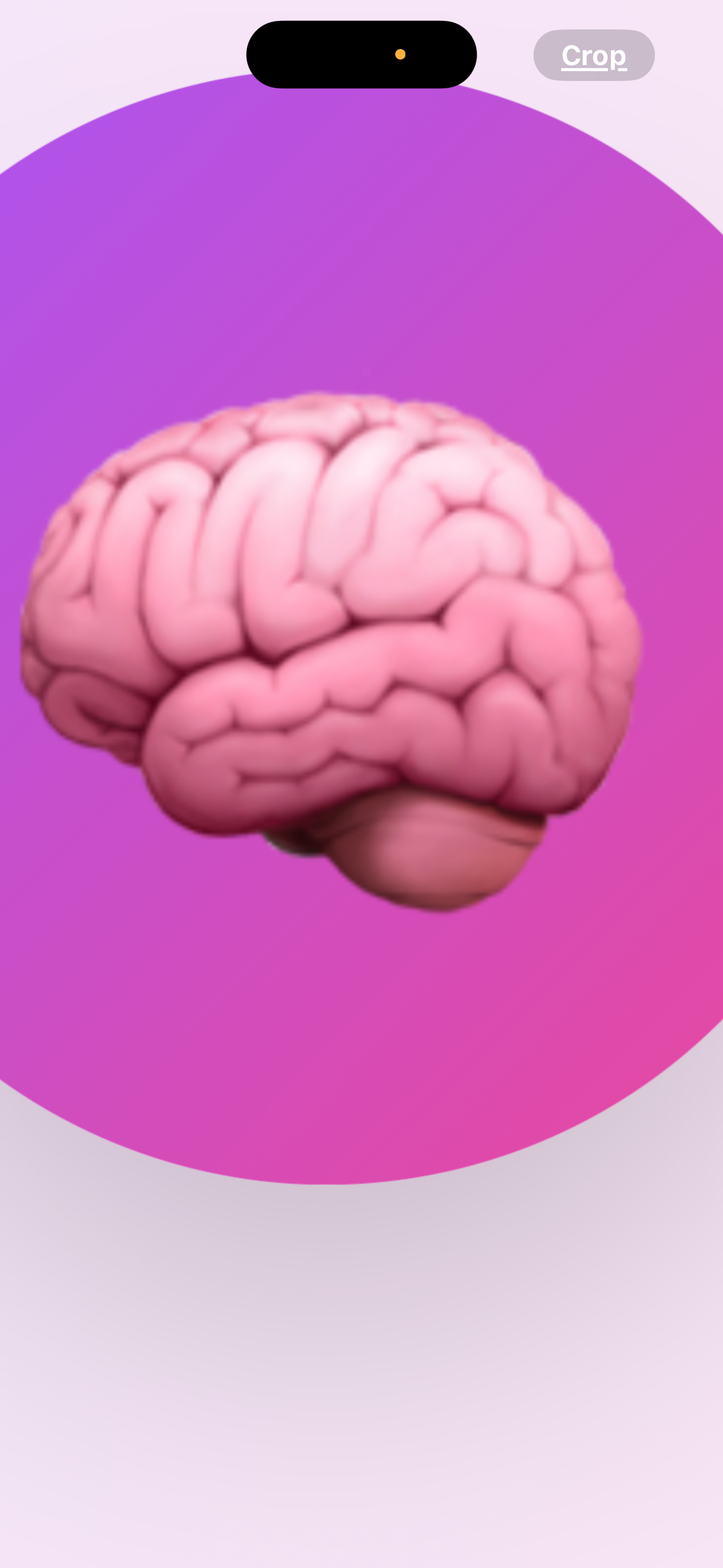Brain Quest Kids  logo - Product Hunt launch