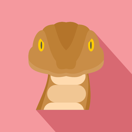 Koalas gallery image