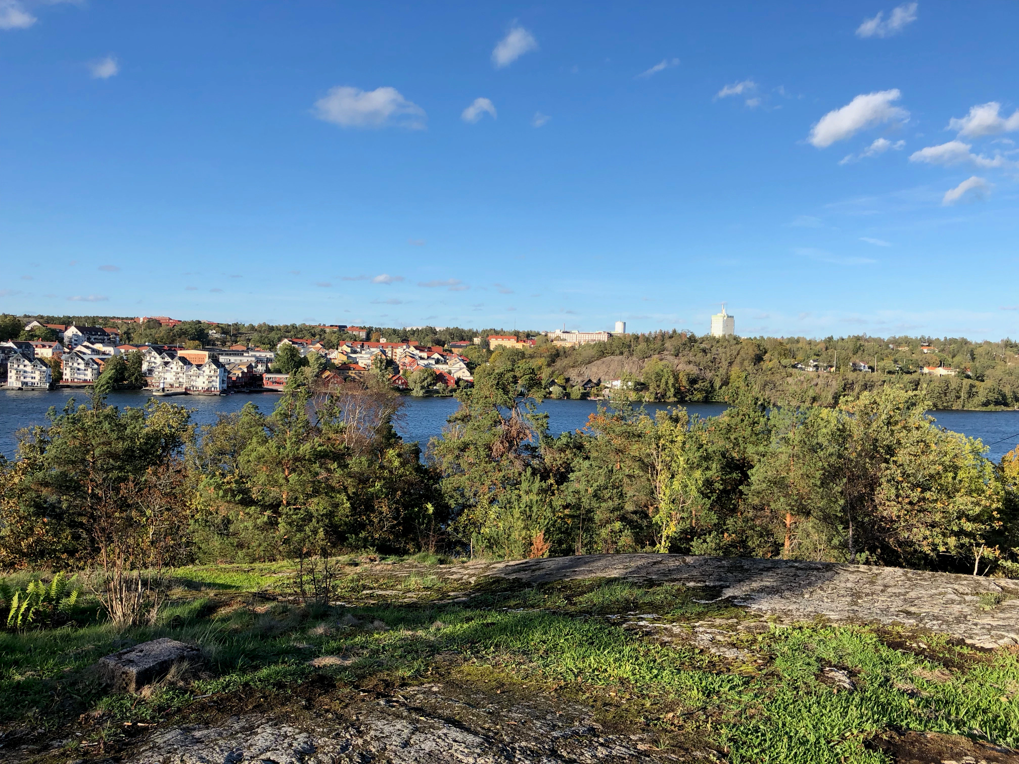 Joseph Goldberg cover