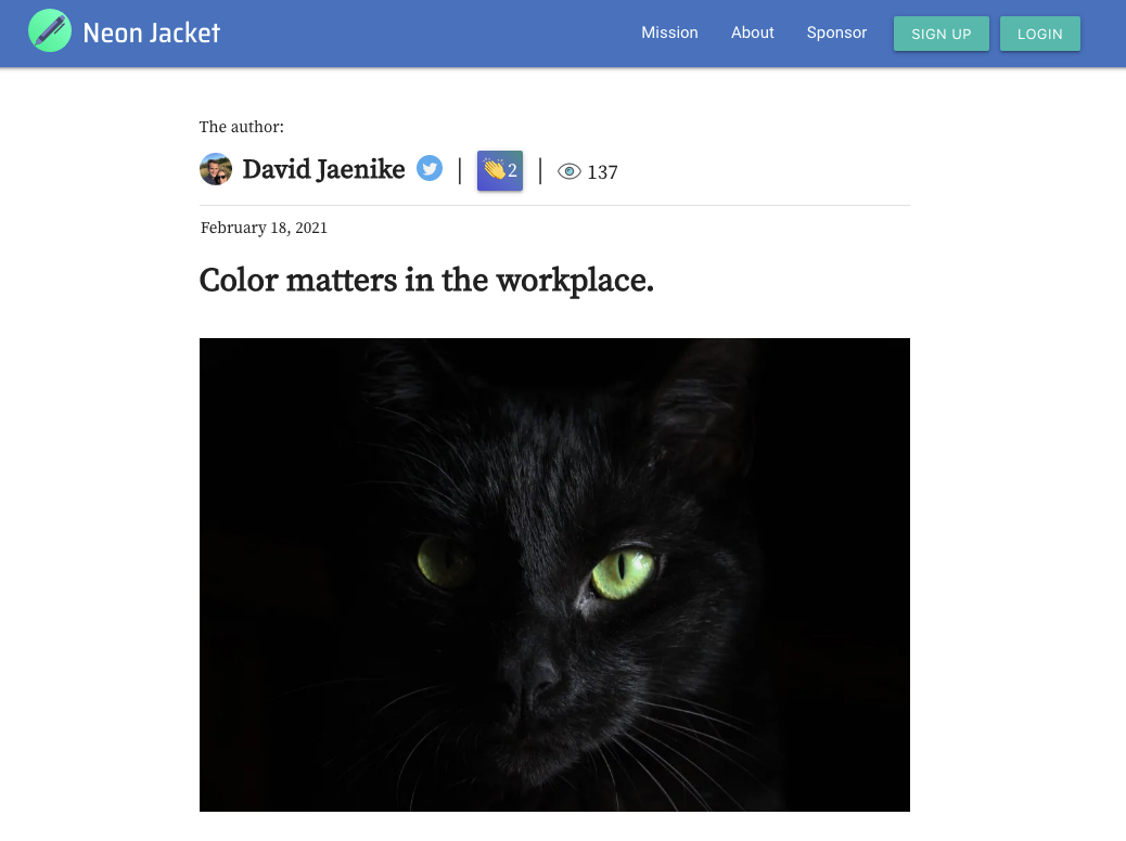 Neon Jacket gallery image