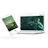 Fundback