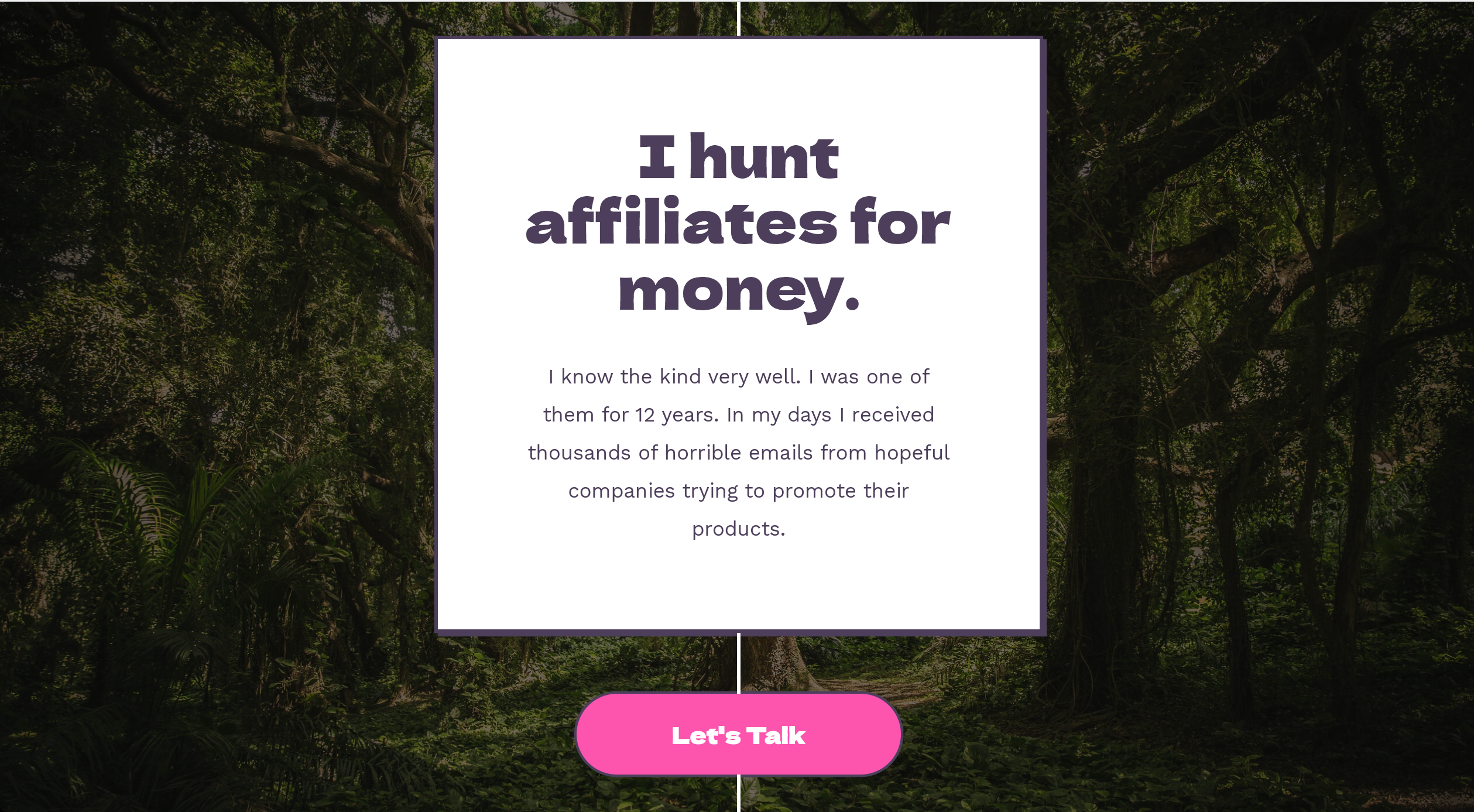 Affiliate Hunter gallery image