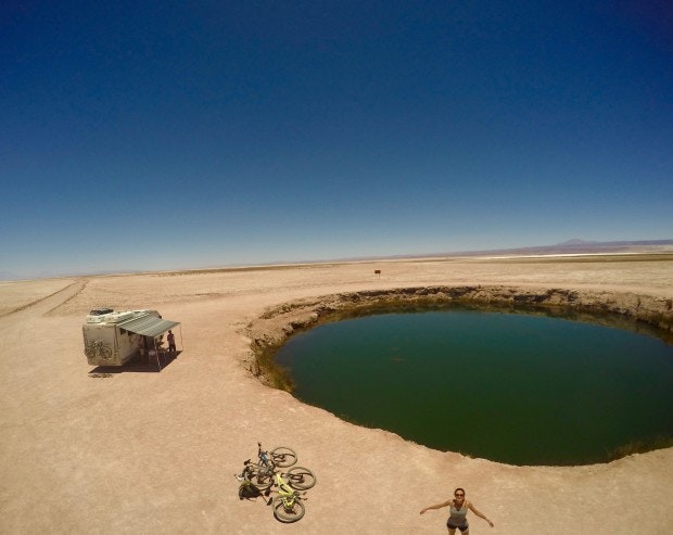 Birdie gallery image