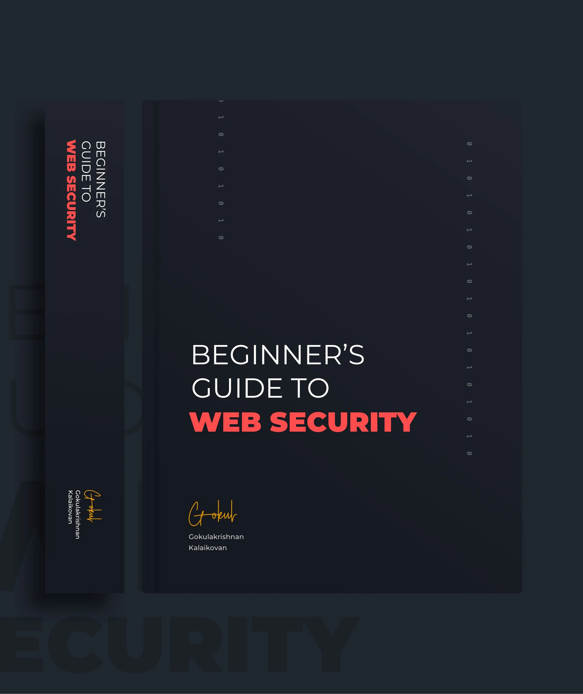 Beginner's Guide to Web Security
