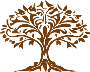 Durjaya Herbals gallery image