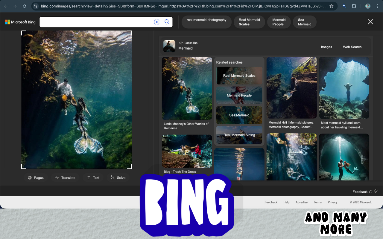Select & Search gallery image
