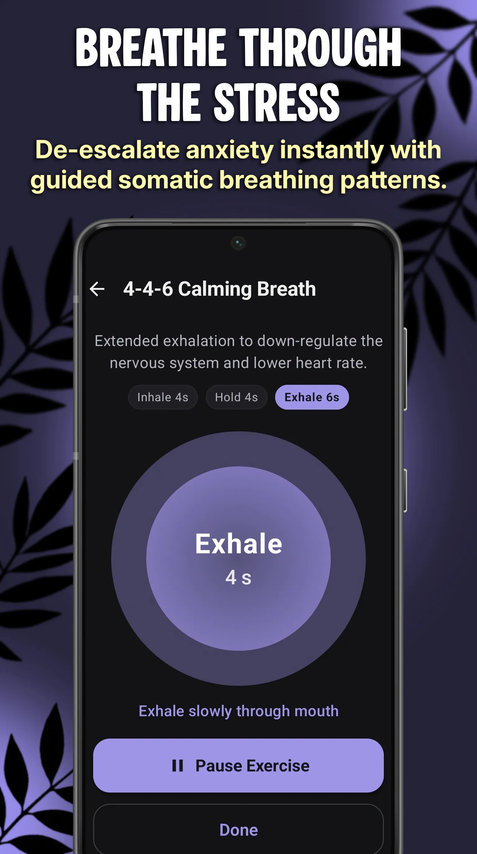 Calmbox gallery image