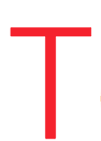Tonzhon Global logo