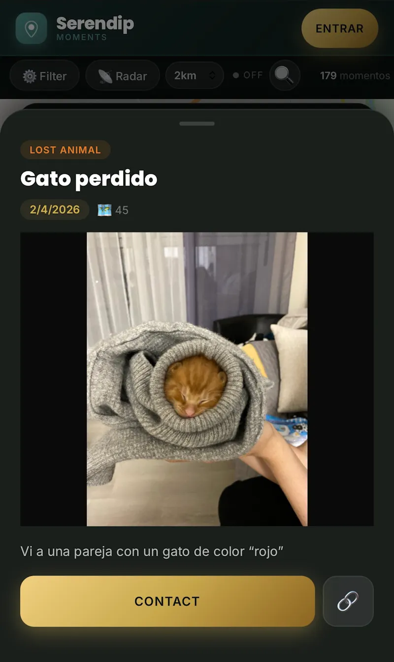 Serendip Moments screenshot 10