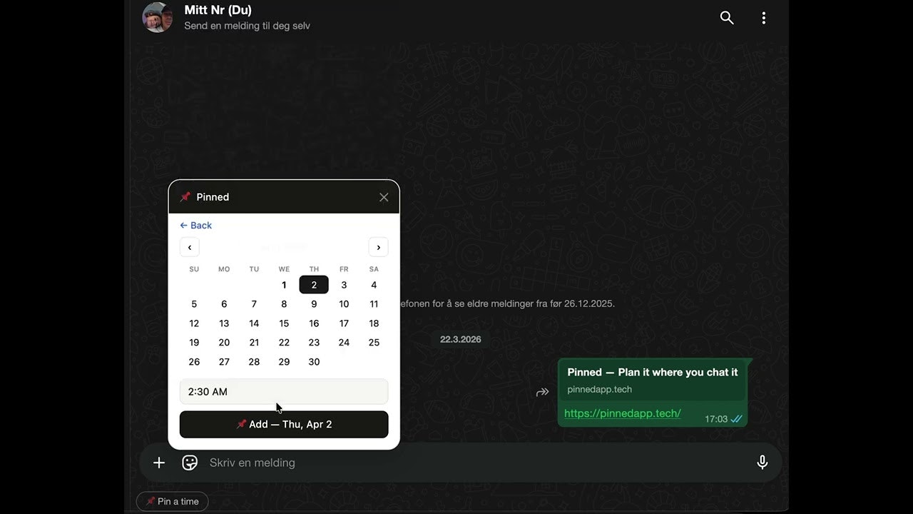 Pinned — Schedule inside chat gallery image