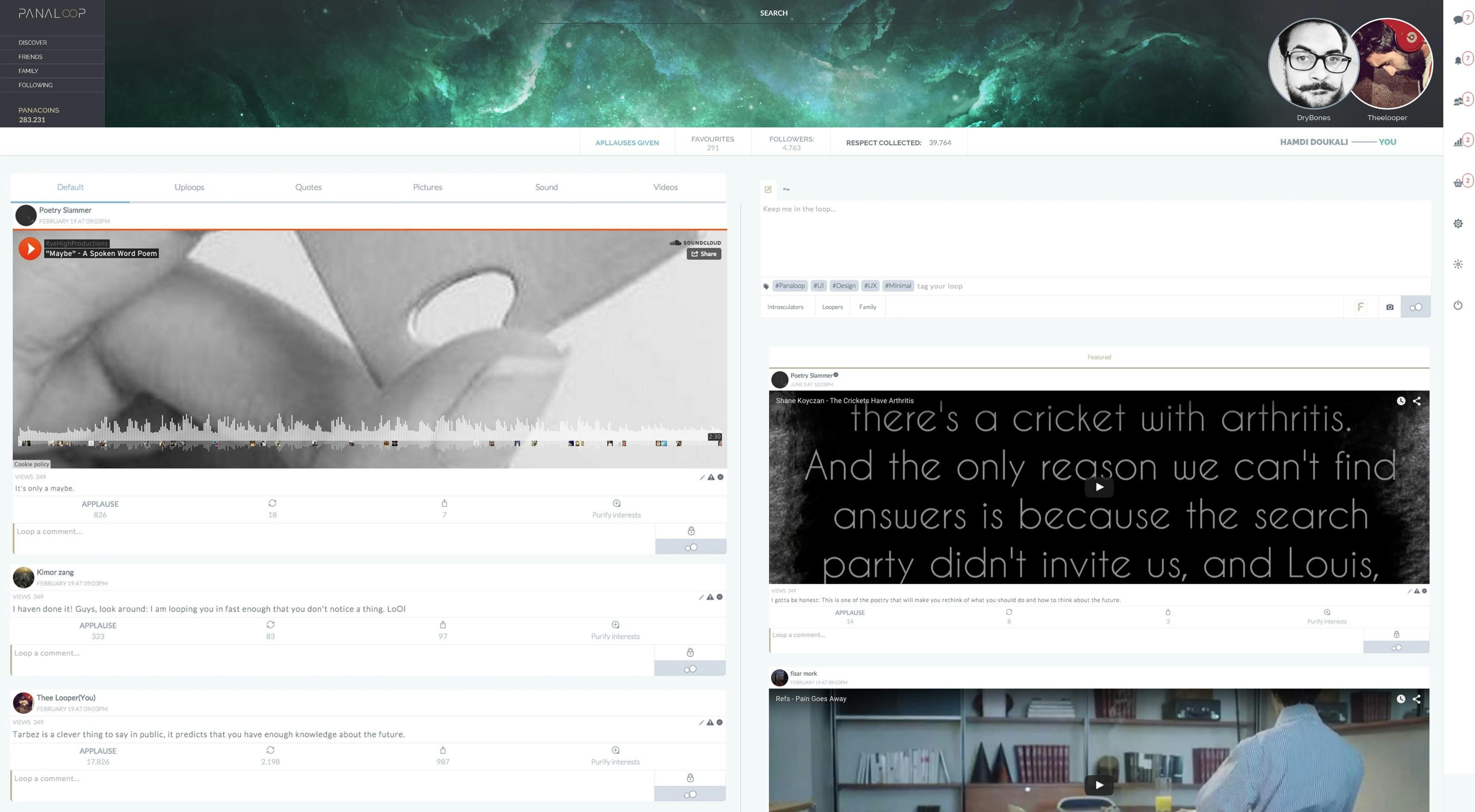 Panaloop gallery image